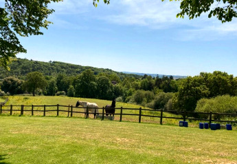Uitzicht vanuit een koepel op een groen veld met twee paarden achter een hek en heuvels op de achtergrond.
