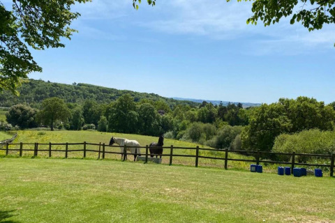 View from a dome overlooking a green field with two horses behind a fence and hills in the distance.