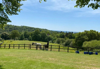 View from a dome overlooking a green field with two horses behind a fence and hills in the distance.