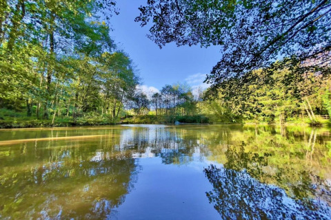 Beautiful view of a calm lake surrounded by green trees, under a dome with vibrant sky reflections in water.