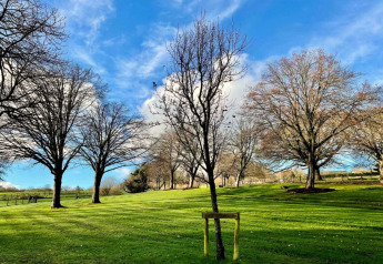 Groen grasveld met kale bomen onder een blauwe hemel met zon en wolken, genomen bij een koepel.