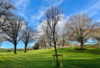 Et åbent grønområde med flere løvtræer under en klar blå himmel, solskin og lette skyer ved en dome.
