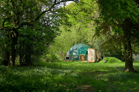 Grønt luksuskuppelhus 'Hever Luxury Dome' gemt i en frodig skov i Storbritannien.