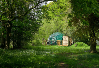Grønt luksuskuppelhus 'Hever Luxury Dome' gemt i en frodig skov i Storbritannien.