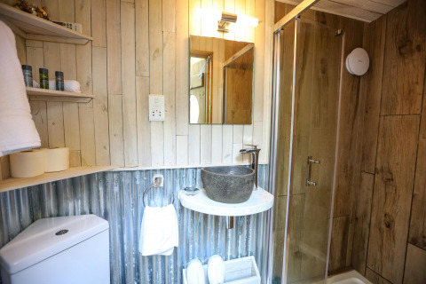 Bathroom inside a dome featuring wood walls, glass shower, stone sink, mirror, and rustic style shelves.
