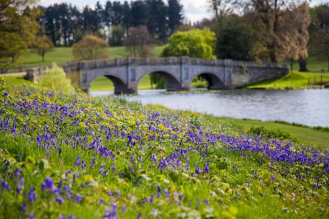 Glamping met uitzicht op een stenen brug, een bloemenveld en een rivier in een groene omgeving.