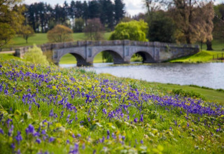 Glamping met uitzicht op een stenen brug, een bloemenveld en een rivier in een groene omgeving.