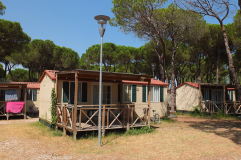Stacaravan Luna Pineta op een camping, omgeven door pijnbomen en met een kleine veranda.
