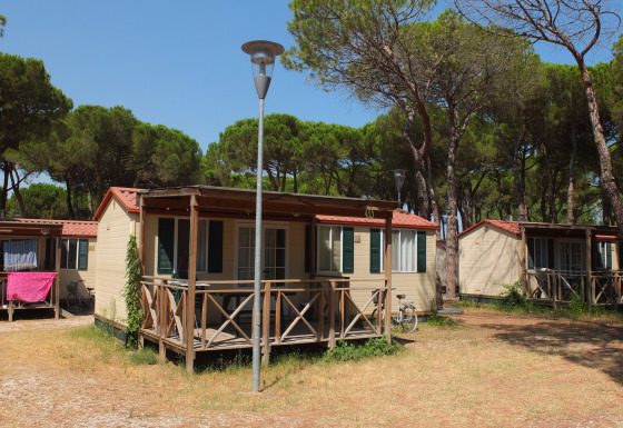 Stacaravan Luna Pineta op een camping, omgeven door pijnbomen en met een kleine veranda.