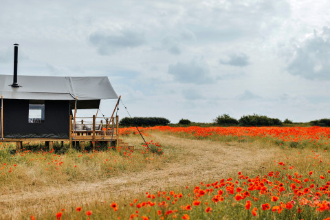 Safari-tent 'Owls Nest' in het Verenigd Koninkrijk aan een veldweg, omringd door rode wilde bloemen.
