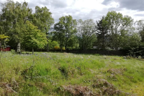 Groen grasveld met bomen en struiken bij de mobiele woning The Bakers Hut in het VK onder een bewolkte lucht.