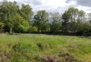 Groen grasveld met bomen en struiken bij de mobiele woning The Bakers Hut in het VK onder een bewolkte lucht.