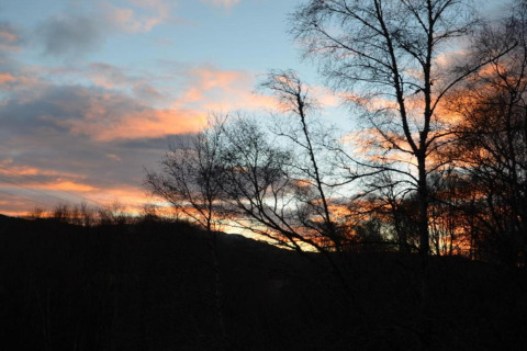 Kleurrijke zonsondergang met silhouetten van bomen gezien vanaf The Bakers Hut in het Verenigd Koninkrijk.