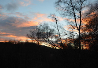 Kleurrijke zonsondergang met silhouetten van bomen gezien vanaf The Bakers Hut in het Verenigd Koninkrijk.