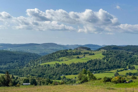 Groene heuvels en bossen onder een blauwe lucht, gezien vanaf The Bakers Hut mobilhome, Verenigd Koninkrijk.