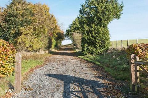 Sentiero di ghiaia fiancheggiato da alberi verso South Downs Lodge, immerso nella campagna del Regno Unito.