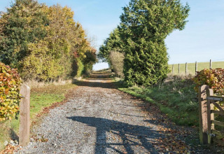 Sentiero di ghiaia fiancheggiato da alberi verso South Downs Lodge, immerso nella campagna del Regno Unito.