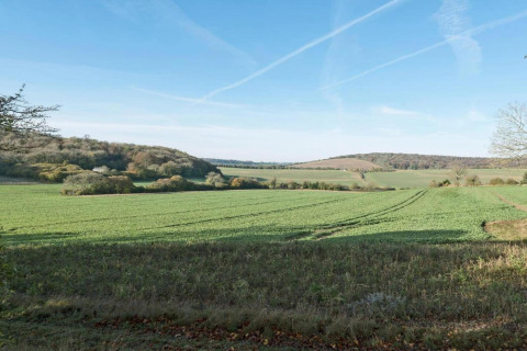 Vista su campi verdi e colline ondulate vicino a South Downs Lodge nel Regno Unito sotto cielo sereno.
