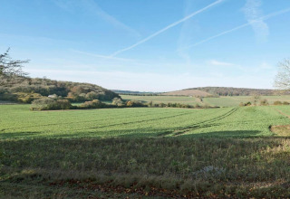 Vista su campi verdi e colline ondulate vicino a South Downs Lodge nel Regno Unito sotto cielo sereno.