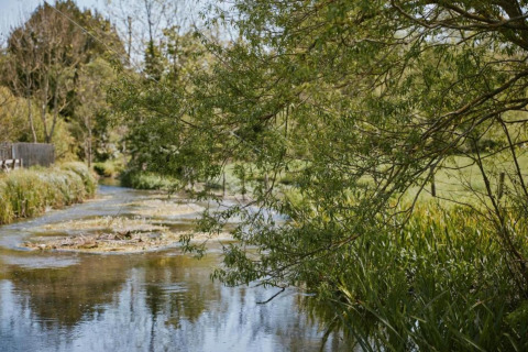 Paesaggio tranquillo con torrente e alberi vicino alla casa mobile South Downs Lodge nel Regno Unito.