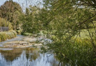 Paesaggio tranquillo con torrente e alberi vicino alla casa mobile South Downs Lodge nel Regno Unito.