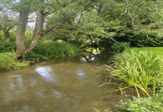 Un tranquillo ruscello circondato da alberi e vegetazione al South Downs Lodge, Regno Unito, di giorno.