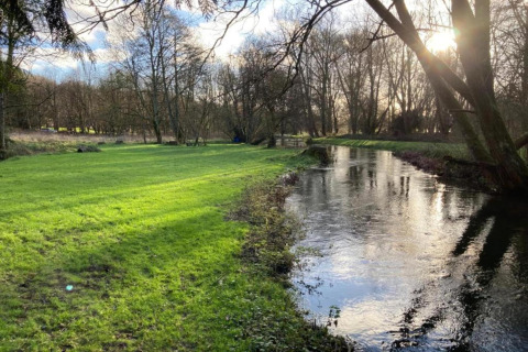 Prato verde soleggiato e fiume calmo vicino a South Downs Lodge, Regno Unito, tra alberi spogli.