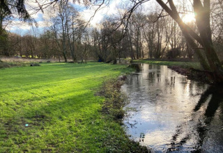 Prato verde soleggiato e fiume calmo vicino a South Downs Lodge, Regno Unito, tra alberi spogli.