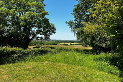 Veduta dal mobilhome South Downs Lodge nel Regno Unito con prati verdi, alberi e cielo sereno d'estate.