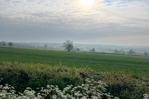 Vue sur des champs verts et fleurs sauvages sous un ciel nuageux près d’un hébergement de glamping.