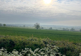 Vue sur des champs verts et fleurs sauvages sous un ciel nuageux près d’un hébergement de glamping.