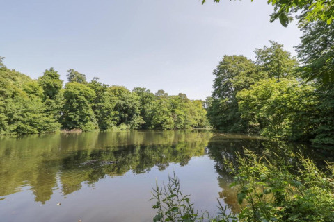 Foto van een rustige vijver omgeven door groene bomen bij een glamping accommodatie op een zonnige dag.