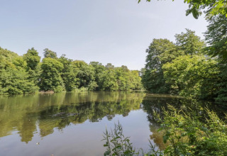 Foto van een rustige vijver omgeven door groene bomen bij een glamping accommodatie op een zonnige dag.