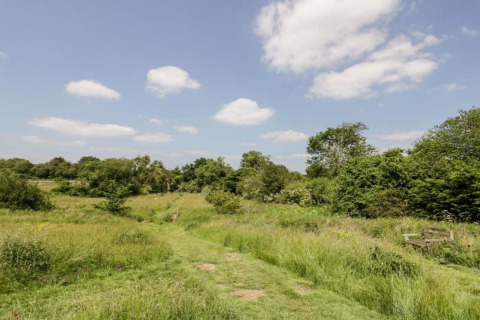Groene weide met bomen, grasachtig pad en blauwe lucht bij een glamping accommodatie.