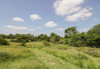 Groene weide met bomen, grasachtig pad en blauwe lucht bij een glamping accommodatie.