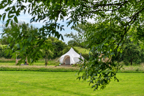 Vista attraverso i rami sull'Oak Lotus Belle Tent in un campeggio verde nel Regno Unito.
