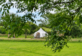 Vista attraverso i rami sull'Oak Lotus Belle Tent in un campeggio verde nel Regno Unito.