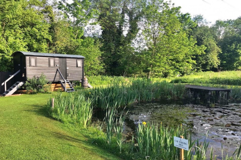 Charming retreat by a pond with lush greenery and wooden hut, Lilypad Bell Tent, United Kingdom.
