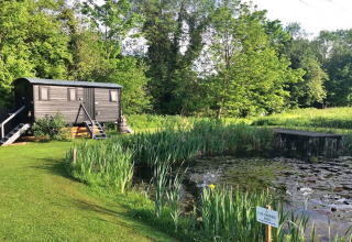 Charming retreat by a pond with lush greenery and wooden hut, Lilypad Bell Tent, United Kingdom.