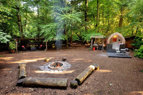 Kampvuurplek met brandend vuur, boomstamzitplaatsen en Daisy Glamping Pod in een Brits bos.