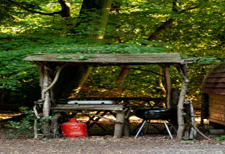Buitenkeuken met barbecue, gasfles en houten overkapping in het bos bij Daisy Glamping Pod, Verenigd Koninkrijk.
