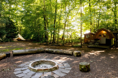 Bosrijke glampinglocatie met vuurplaats, boomstamzitplaatsen en Daisy Glamping Pod op de achtergrond.