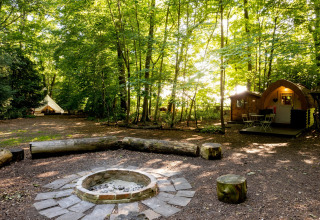 Bosrijke glampinglocatie met vuurplaats, boomstamzitplaatsen en Daisy Glamping Pod op de achtergrond.