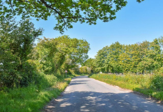 Country road surrounded by lush green trees under a clear blue sky near Lilypad Bell Tent, United Kingdom.