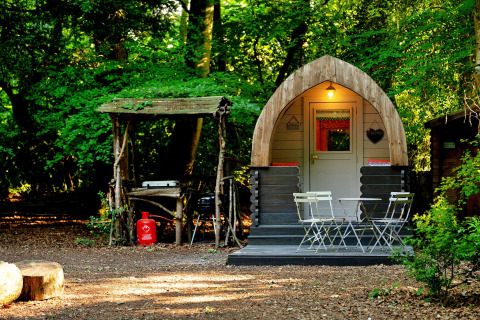 Sfeervolle Daisy Glamping Pod in het bos met buitenterras en een houten overkapping bij elkaar.