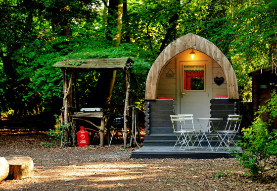 Sfeervolle Daisy Glamping Pod in het bos met buitenterras en een houten overkapping bij elkaar.