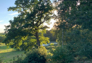 Sunny view of lush green trees and meadow from Lilypad Bell Tent, a teepee tent in the UK countryside.