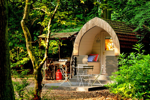 Knusse Daisy Glamping Pod in een bos in het Verenigd Koninkrijk, met buitenzitje en natuurlijke sfeer.