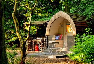 Knusse Daisy Glamping Pod in een bos in het Verenigd Koninkrijk, met buitenzitje en natuurlijke sfeer.