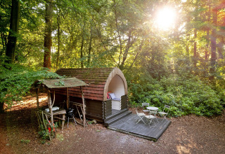 Daisy Glamping Pod in een zonnige bosrijke omgeving in het Verenigd Koninkrijk, met terras en stoelen.